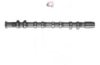 CAMPRO CP10281 Camshaft